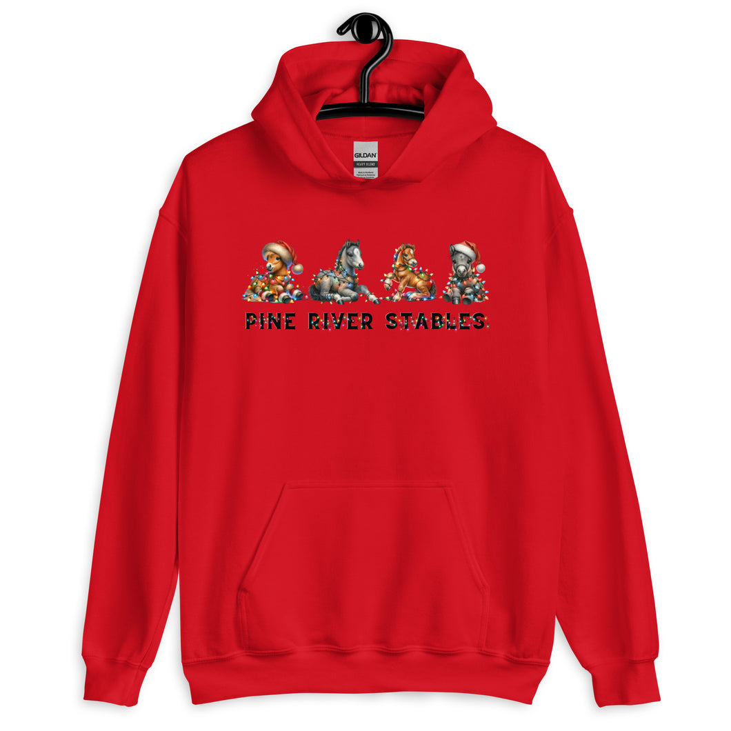 Holiday Horse Play Hoodie