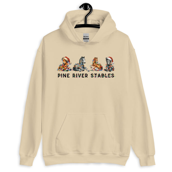 Holiday Horse Play Hoodie