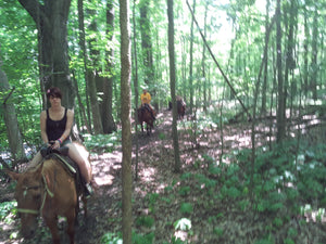 50% off One 60-Minute Horseback Ride for Two People from Pine River Stables (USD$130 Value)
